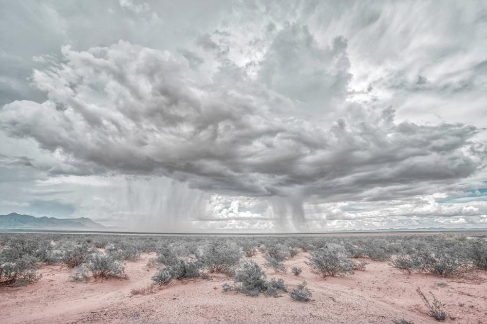 New Mexico Rain