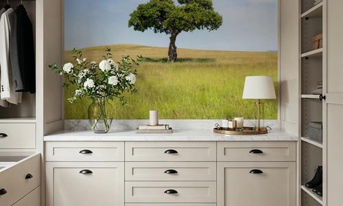 Lone Acacia