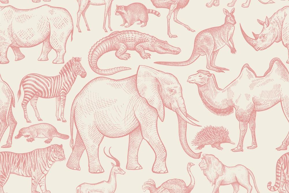 Animals All Over The World Small