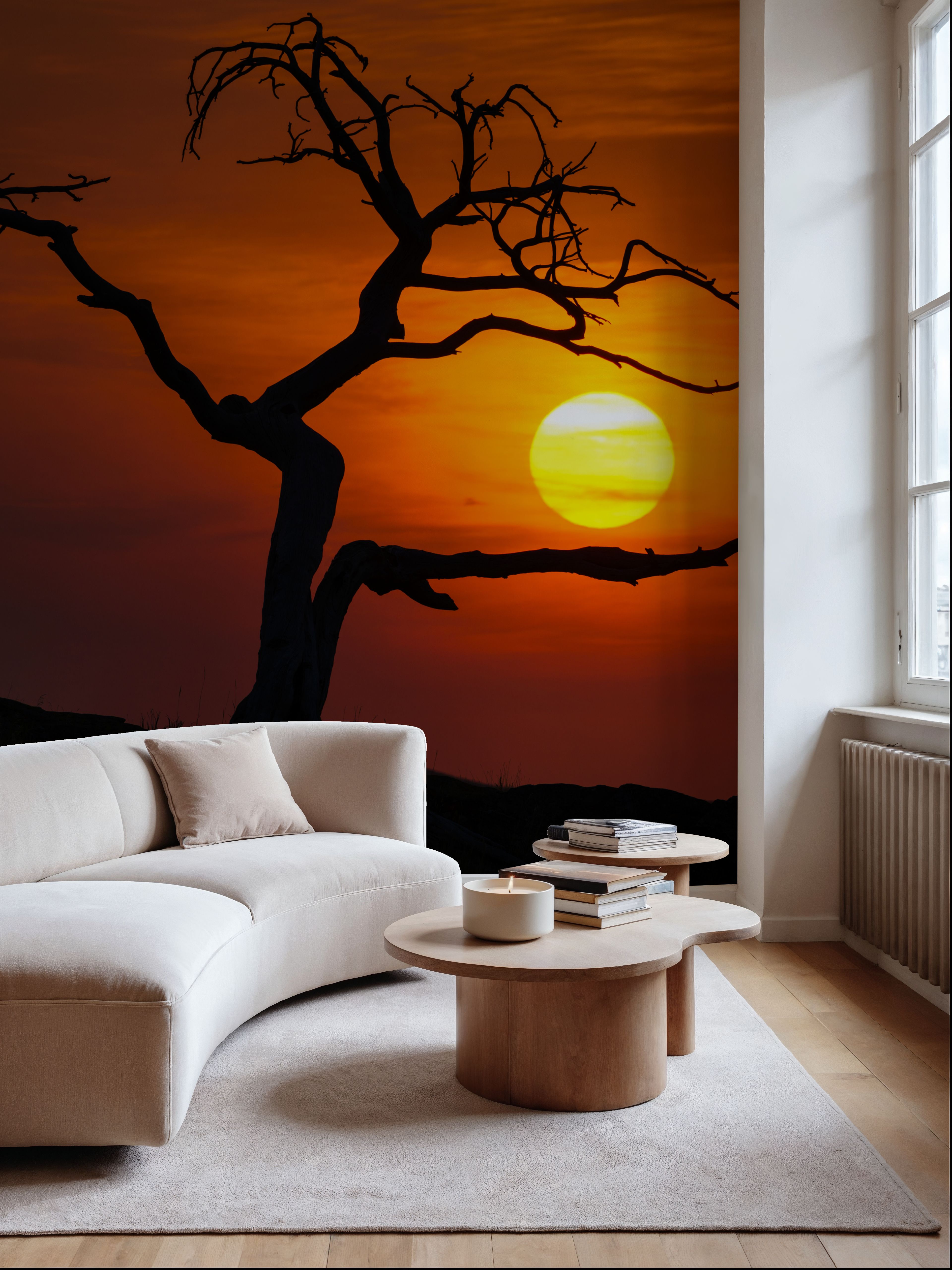 Pinus Flexilis Sunset