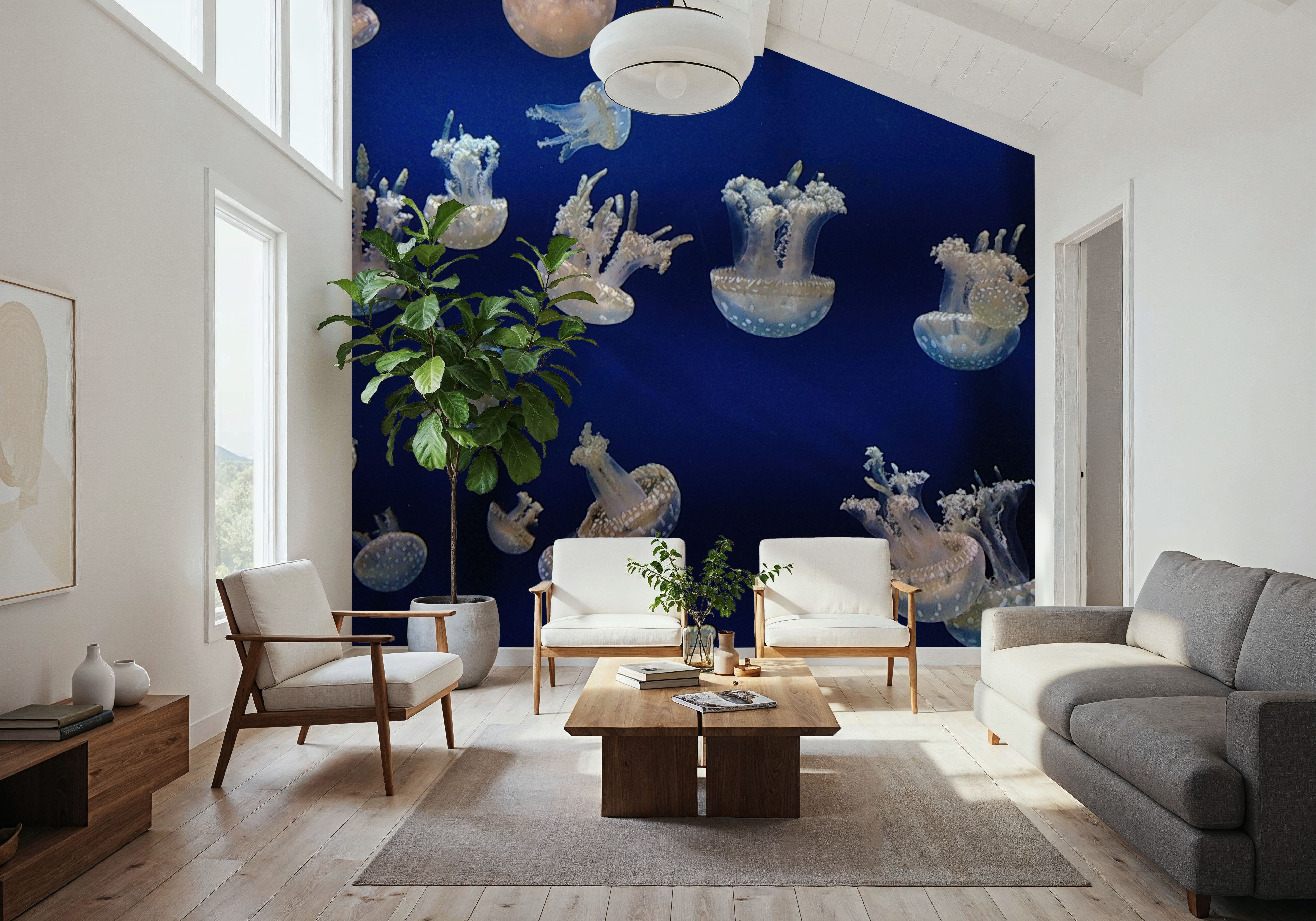 Jellyfish, Wallpaper