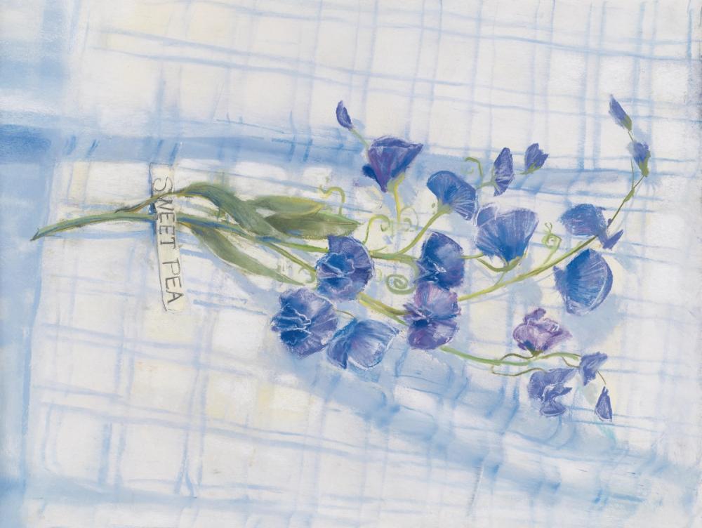 Sweet Pea on Linen