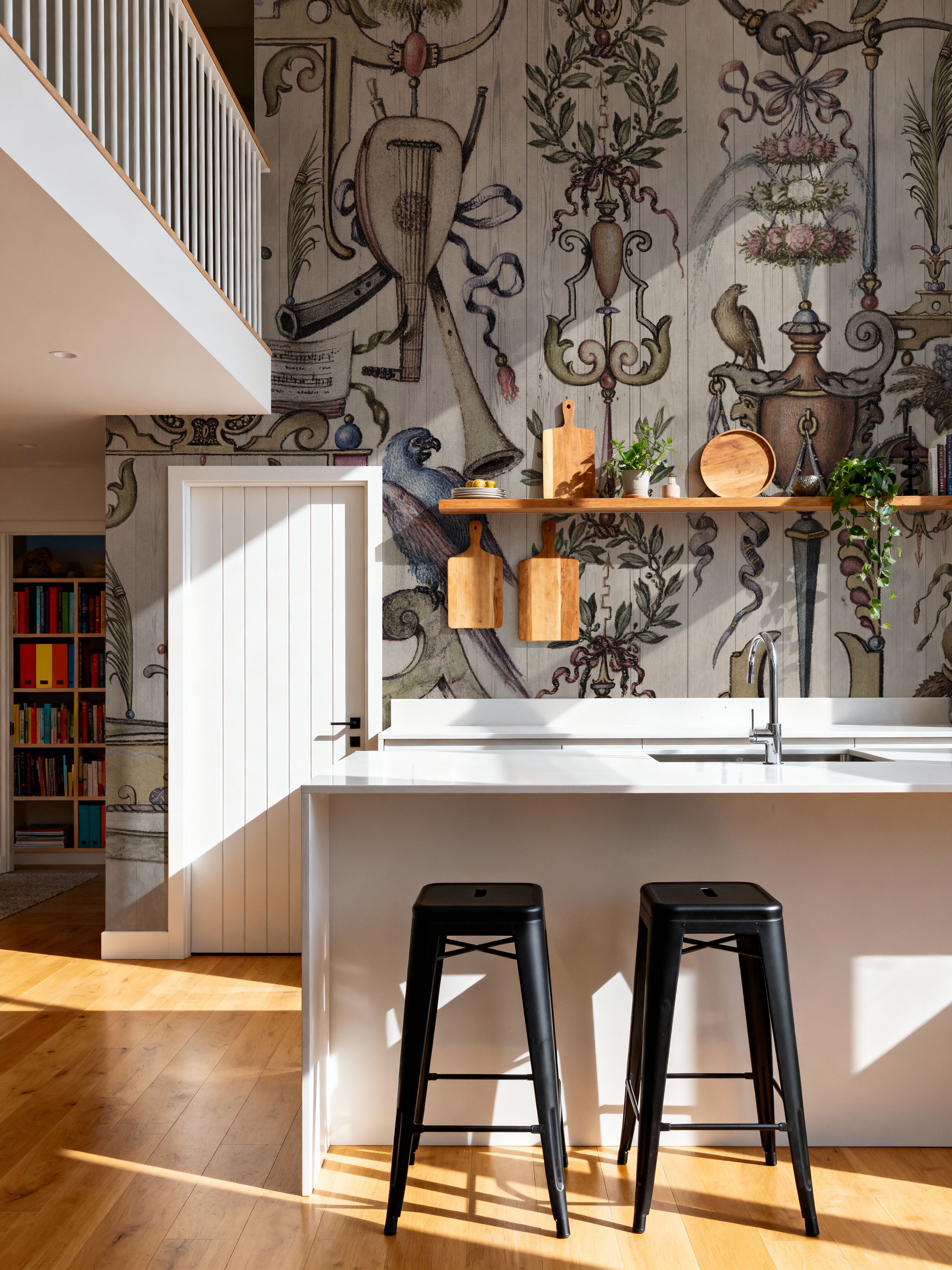 Cabinet of Curiosities
