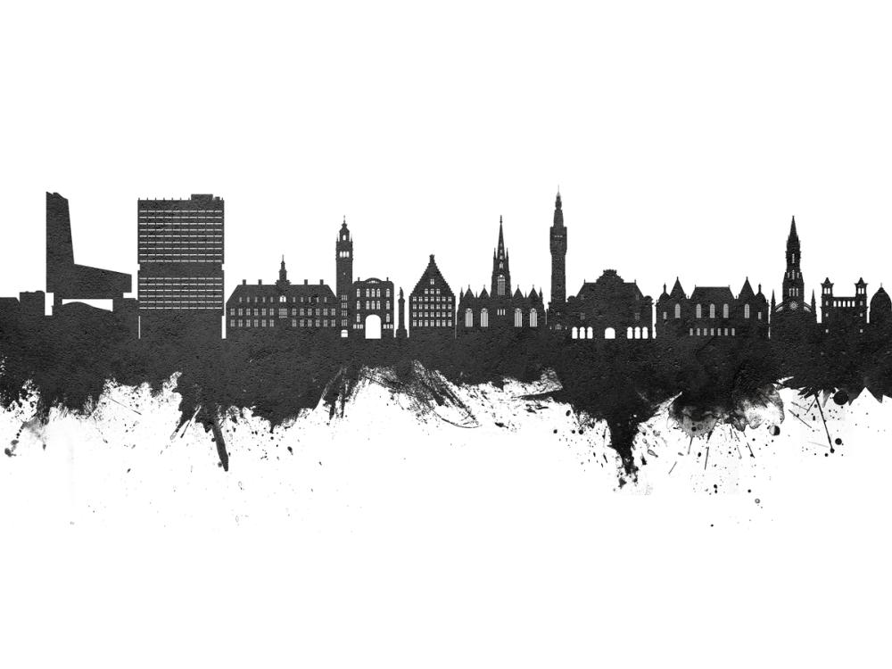 Lille France Skyline Black & White