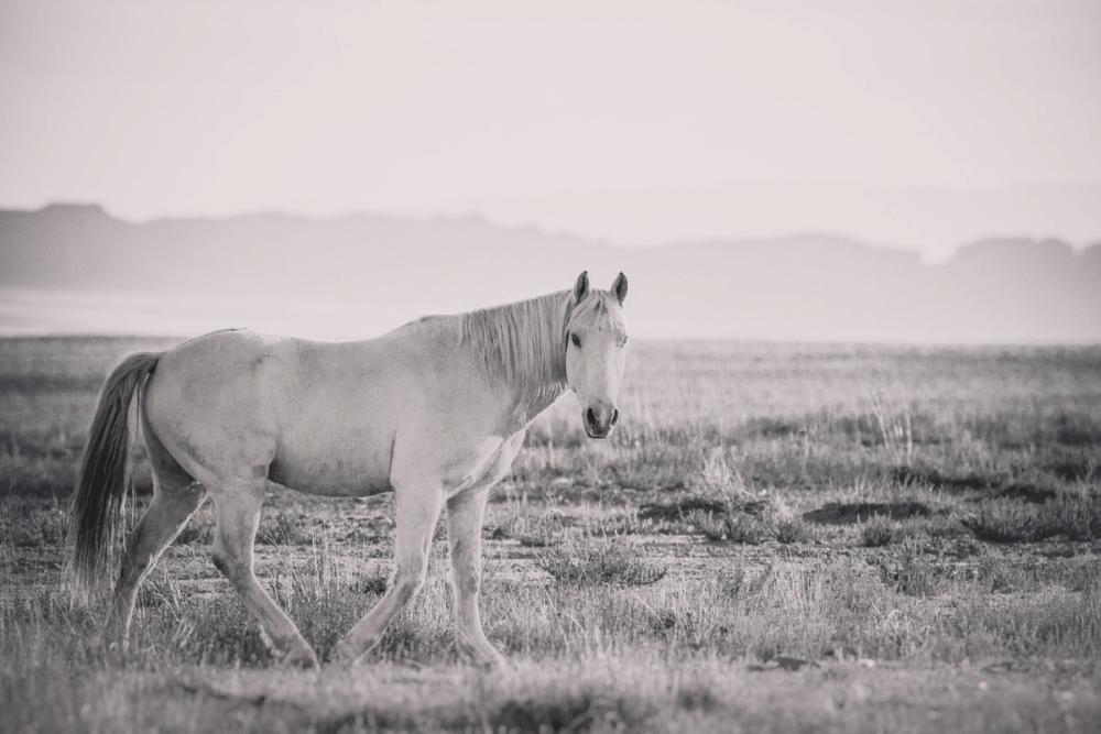 And Then All Was Quiet