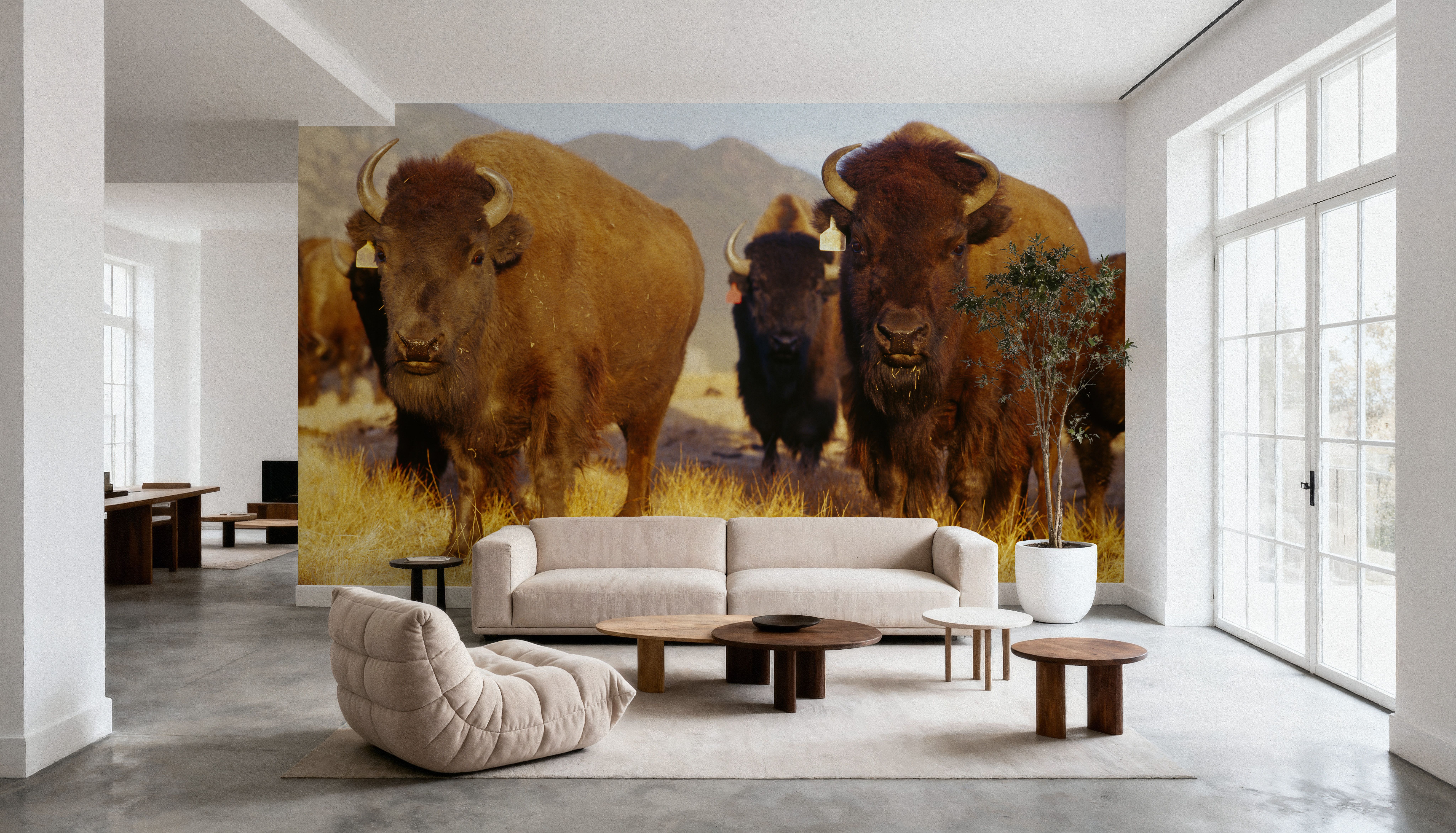 Prairie Bison, Behang
