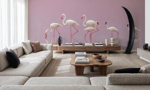 Flamingos