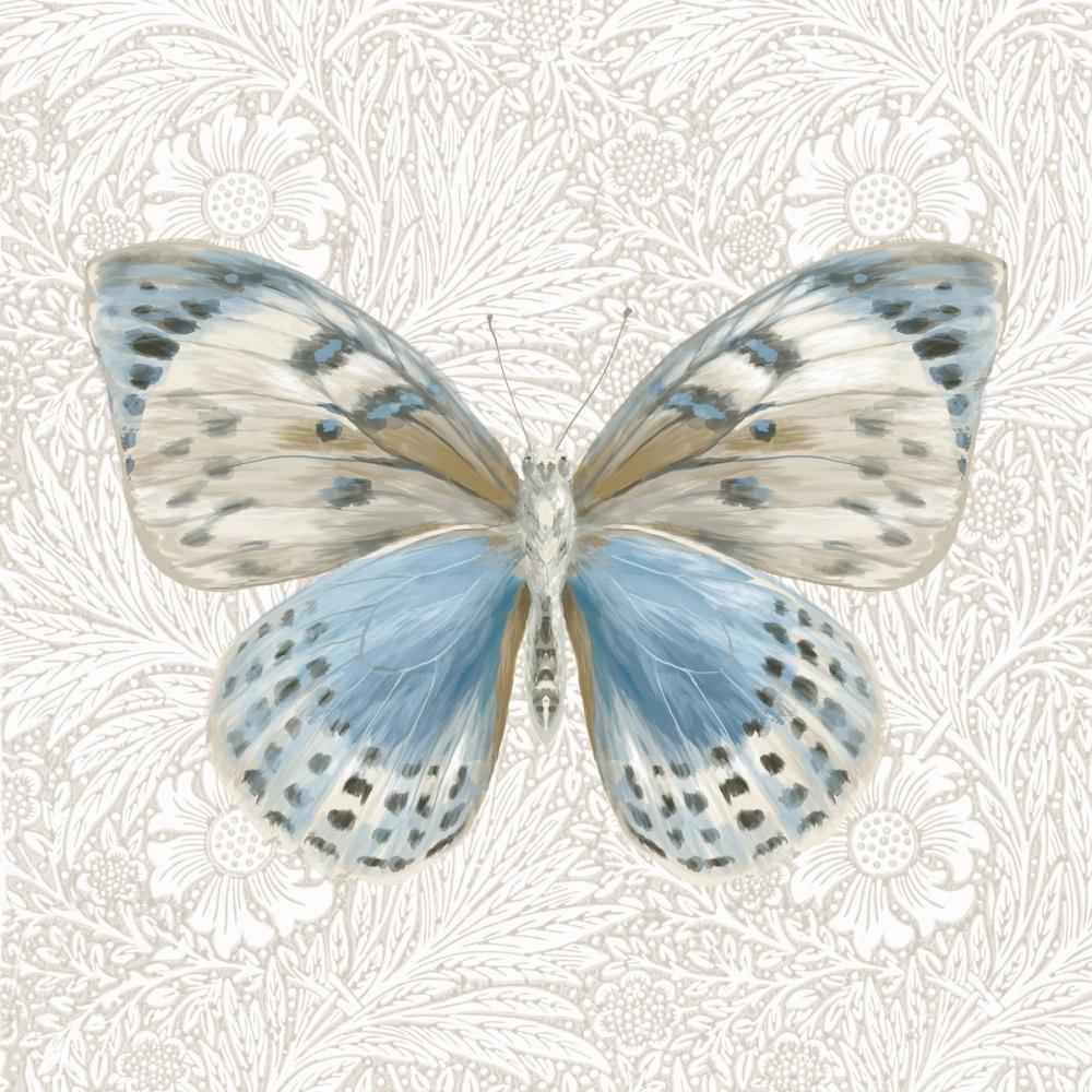 Beetles and Butterflies IV