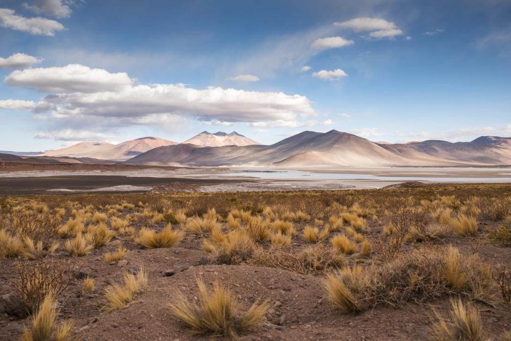 Atacama Desert