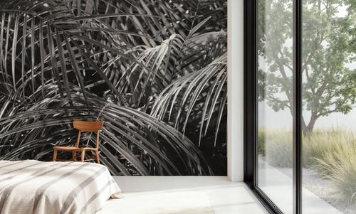 Tropical Fronds