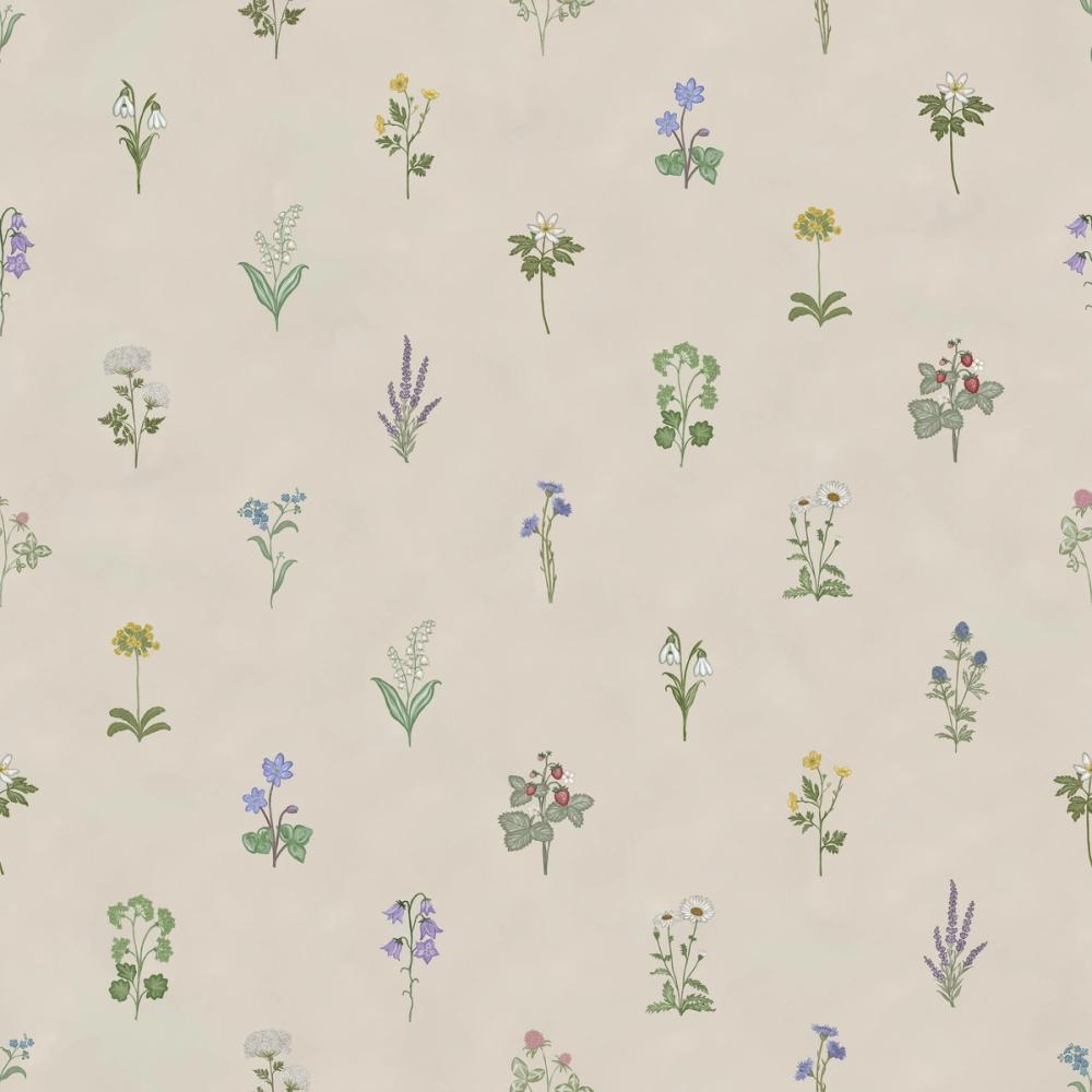 Nordic Flora, Cream