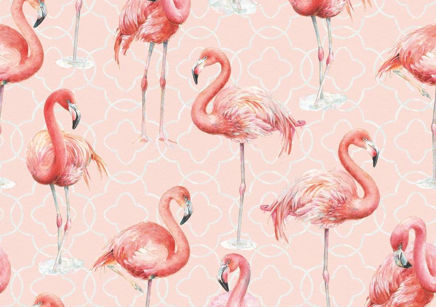Flamingo Goals Pink