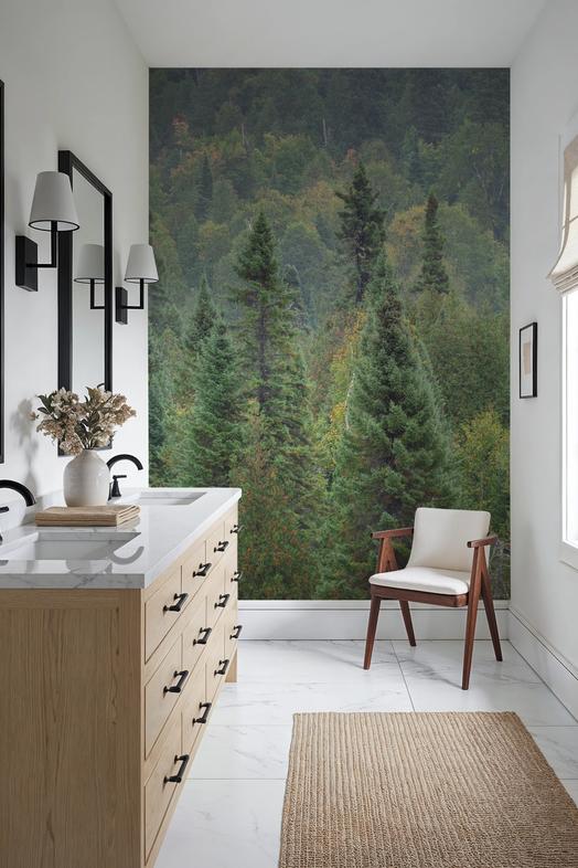 Superior Forest