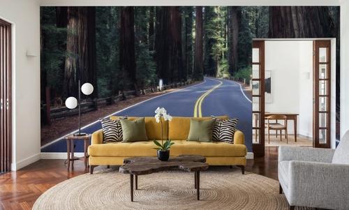 Redwood Journey