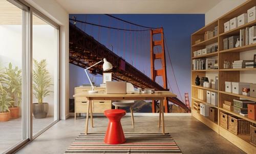 Golden Gate View