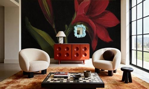 Amour Amaryllis