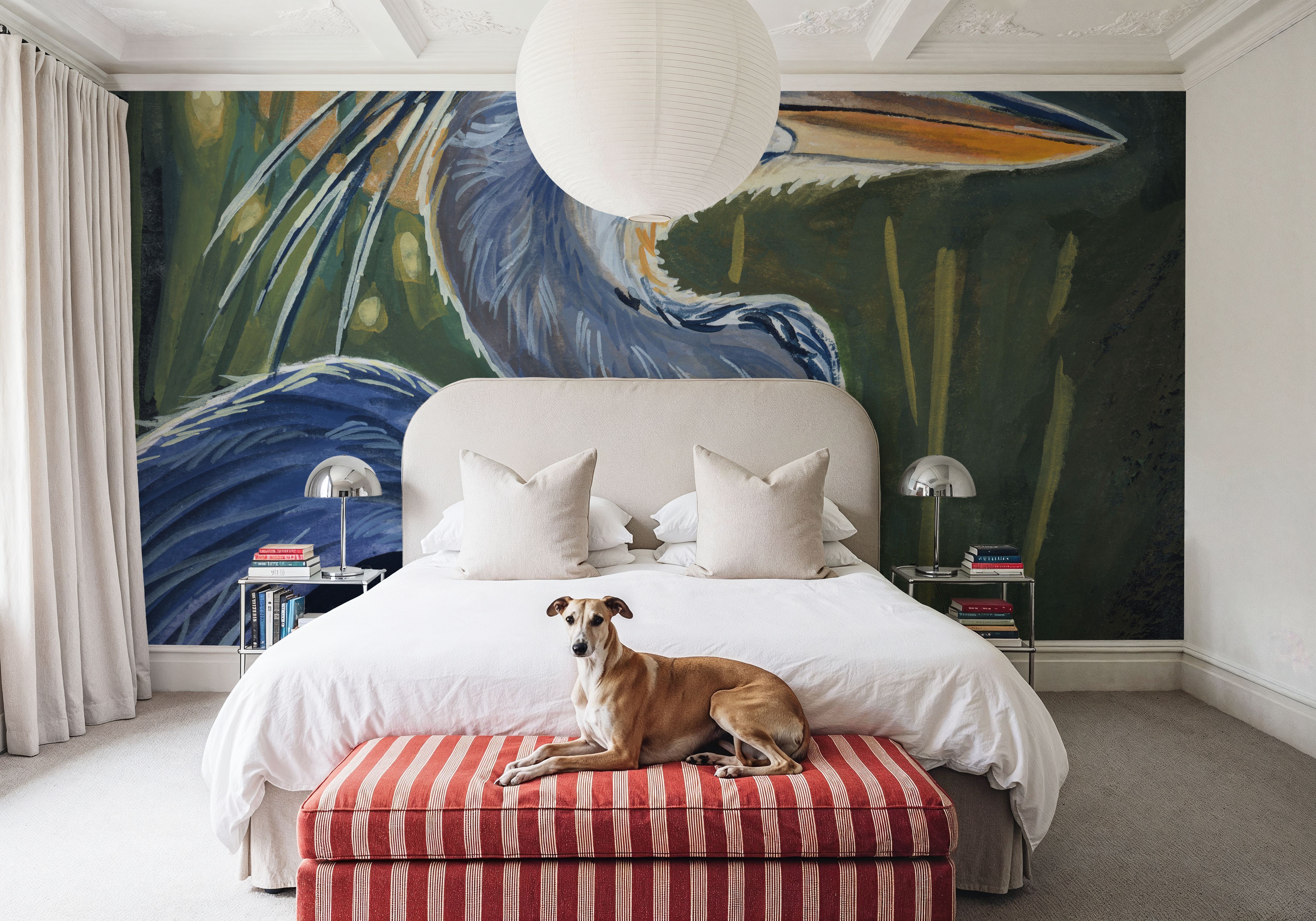 Blue Heron Backlit in Morning, Wallpaper