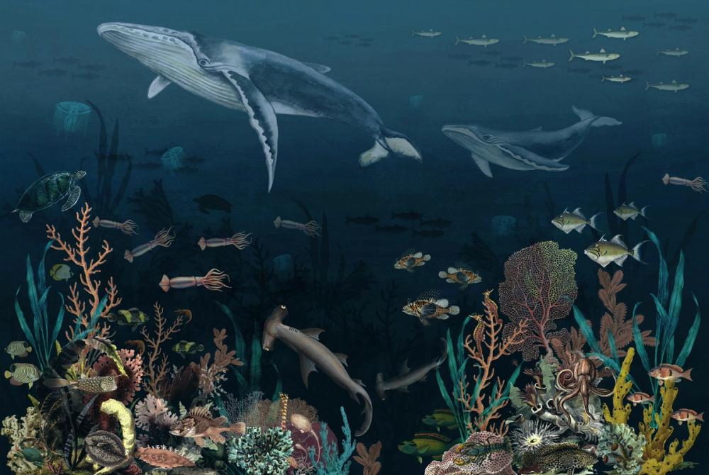 Underwater World