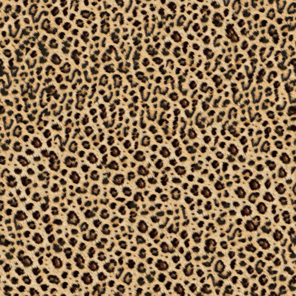 Leopard Fur Texture no.II