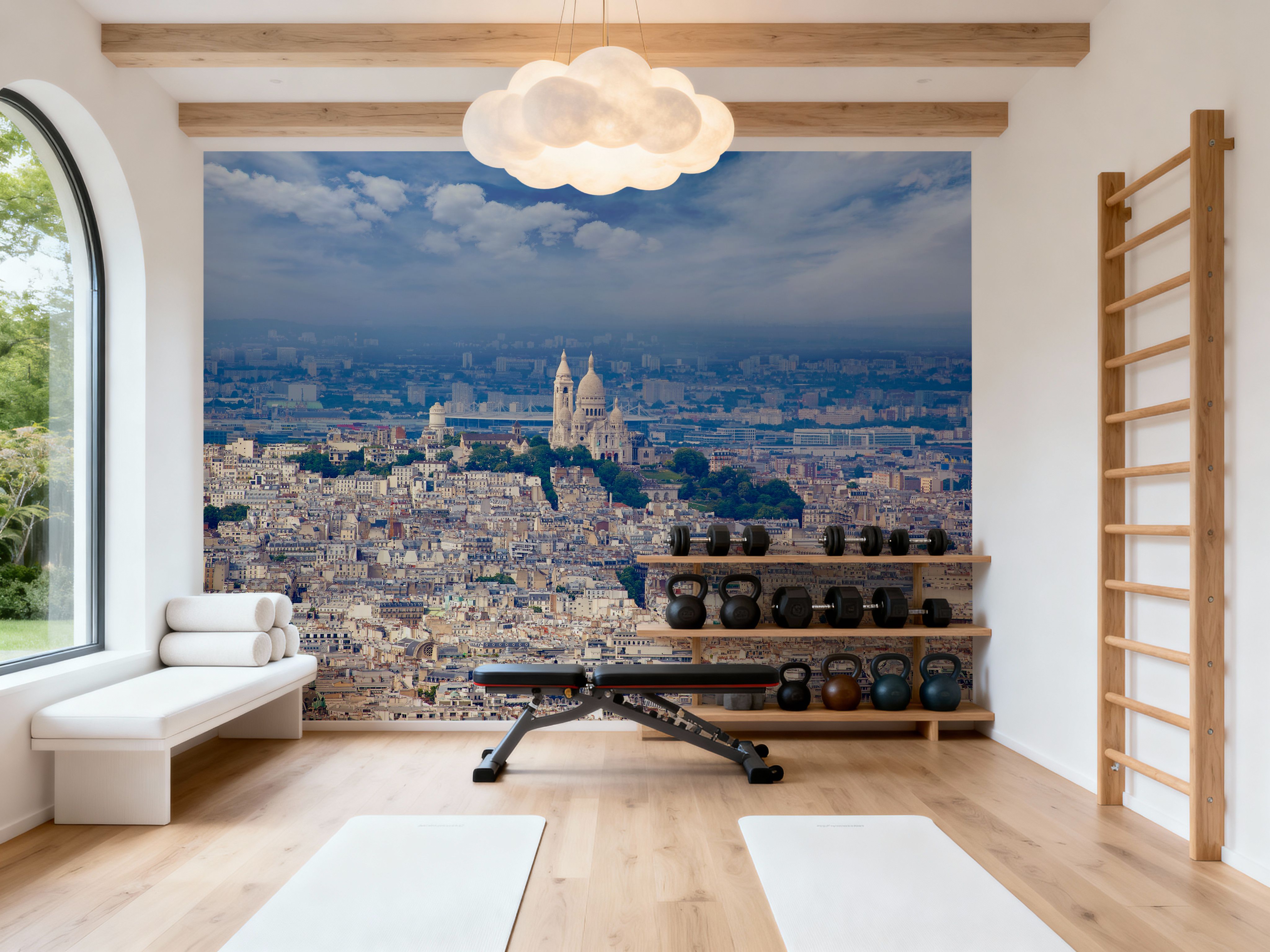 Paris Skyline and Sacre Coeur 