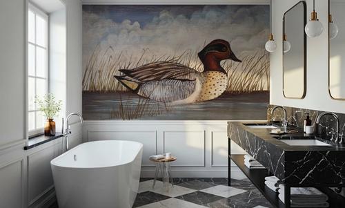 Green Wing Teal