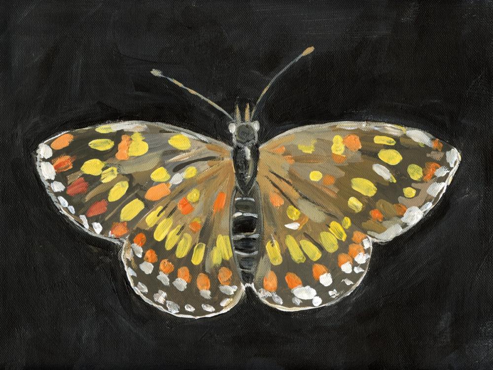 Bold Butterfly II