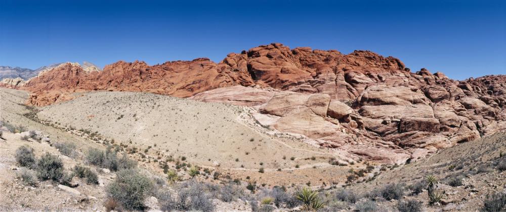 Desert Mittens Silhouette