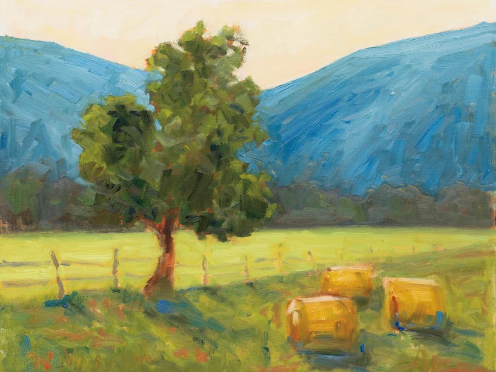 Blue Ridge Hay Bales