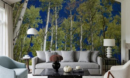 Cobalt Birch Forest