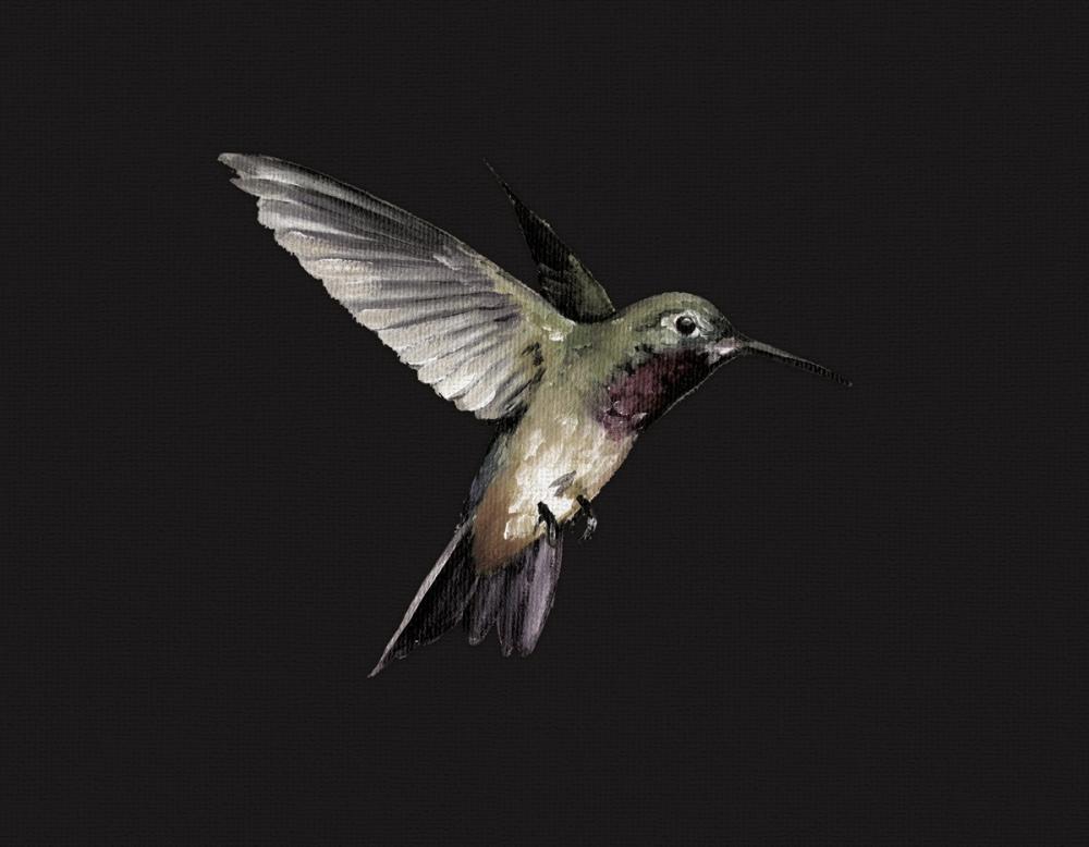 Spring Nectar V