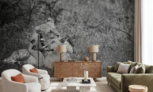 Playful Lions BW