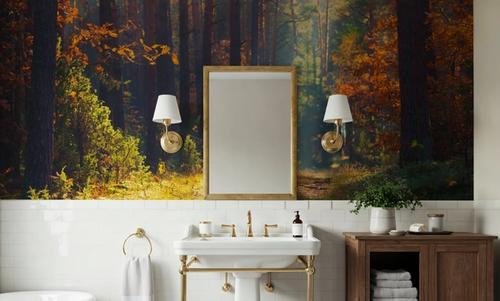 Autumn Forest Morning
