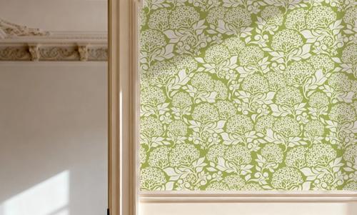Hydrangea, Pistachio