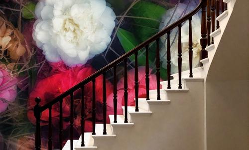 Camellia Song