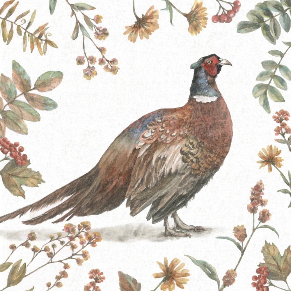 Bountiful Harvest II