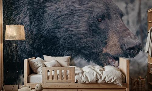 Alberta Black Bear Tones