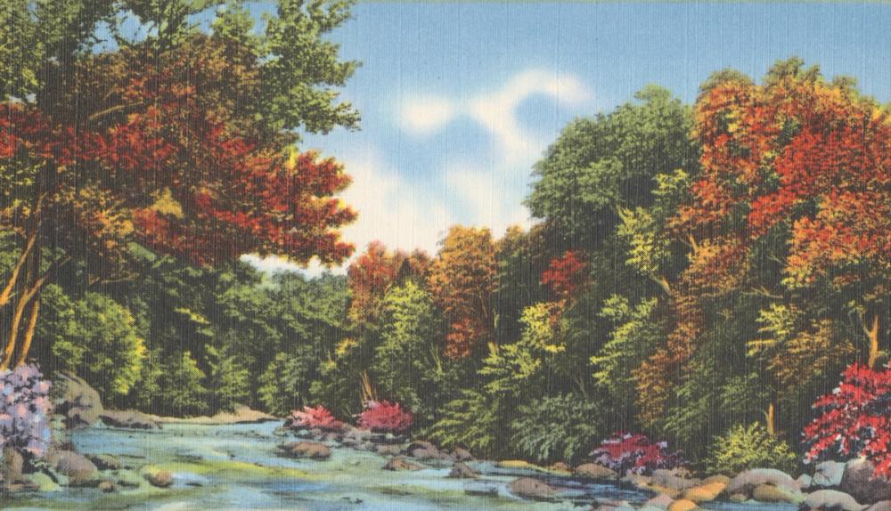 Color River - Screenprint Postcard