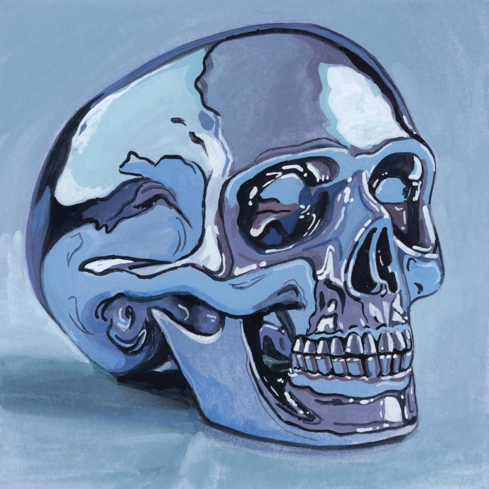 Silver Skull Study