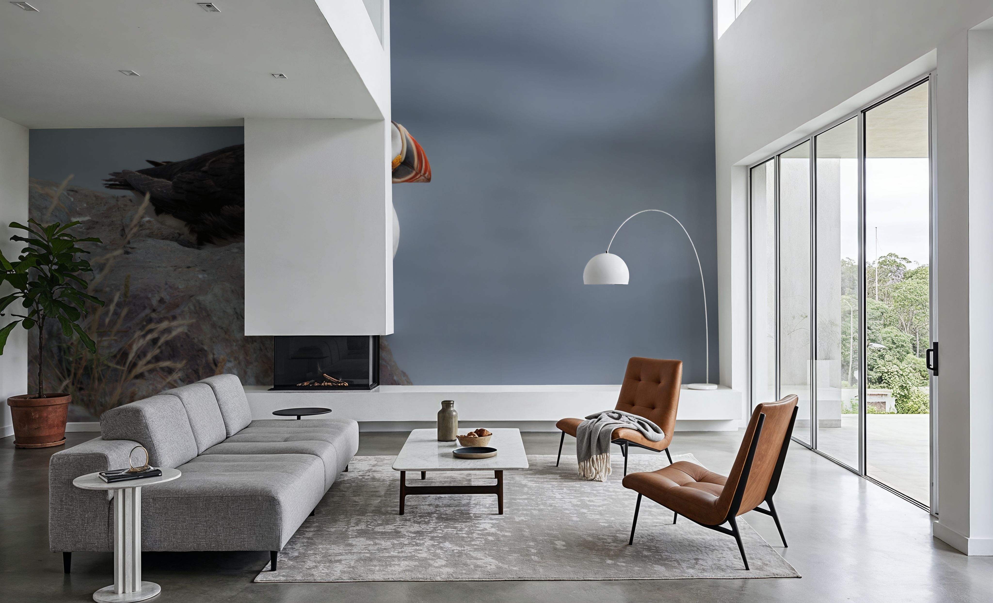 Atlantic Puffin Resting, Tapeten