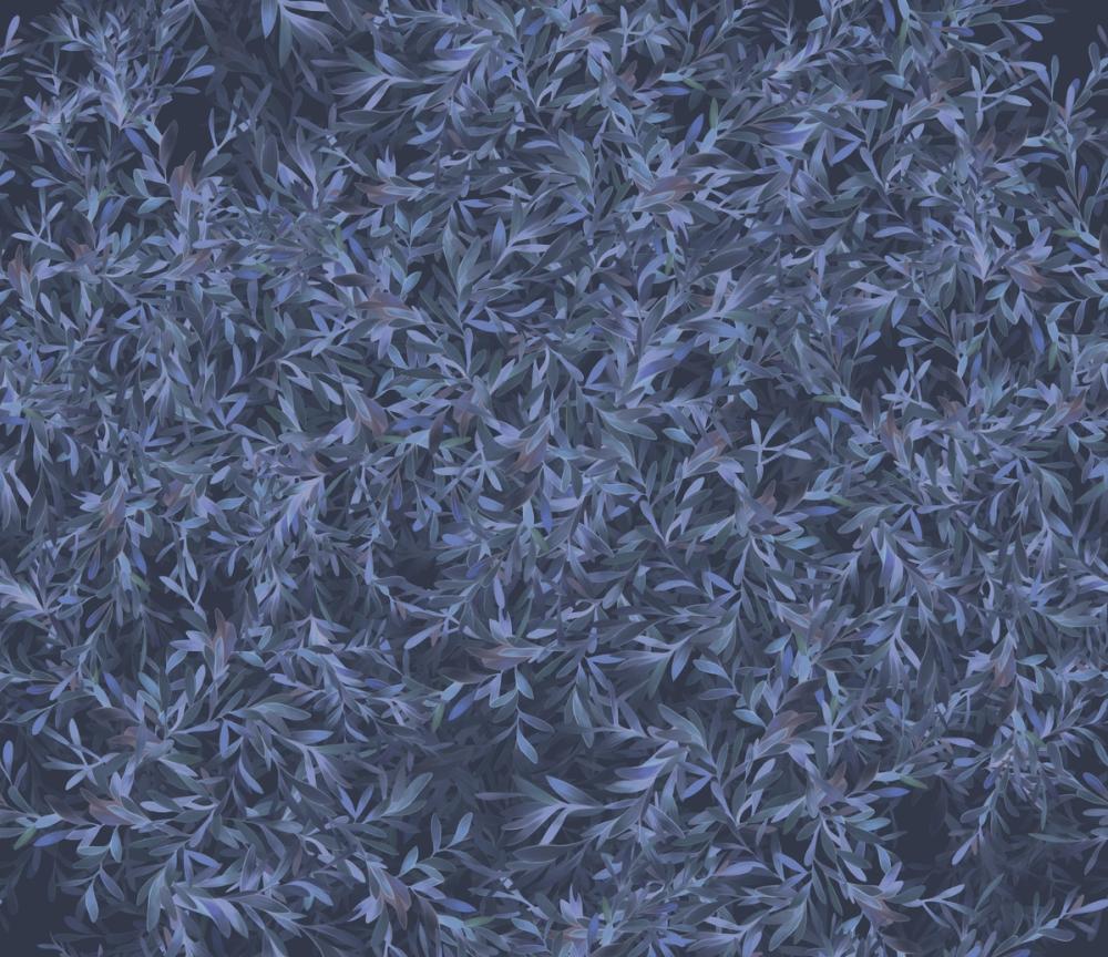 Lush Canopy Ceiling, Blueberry