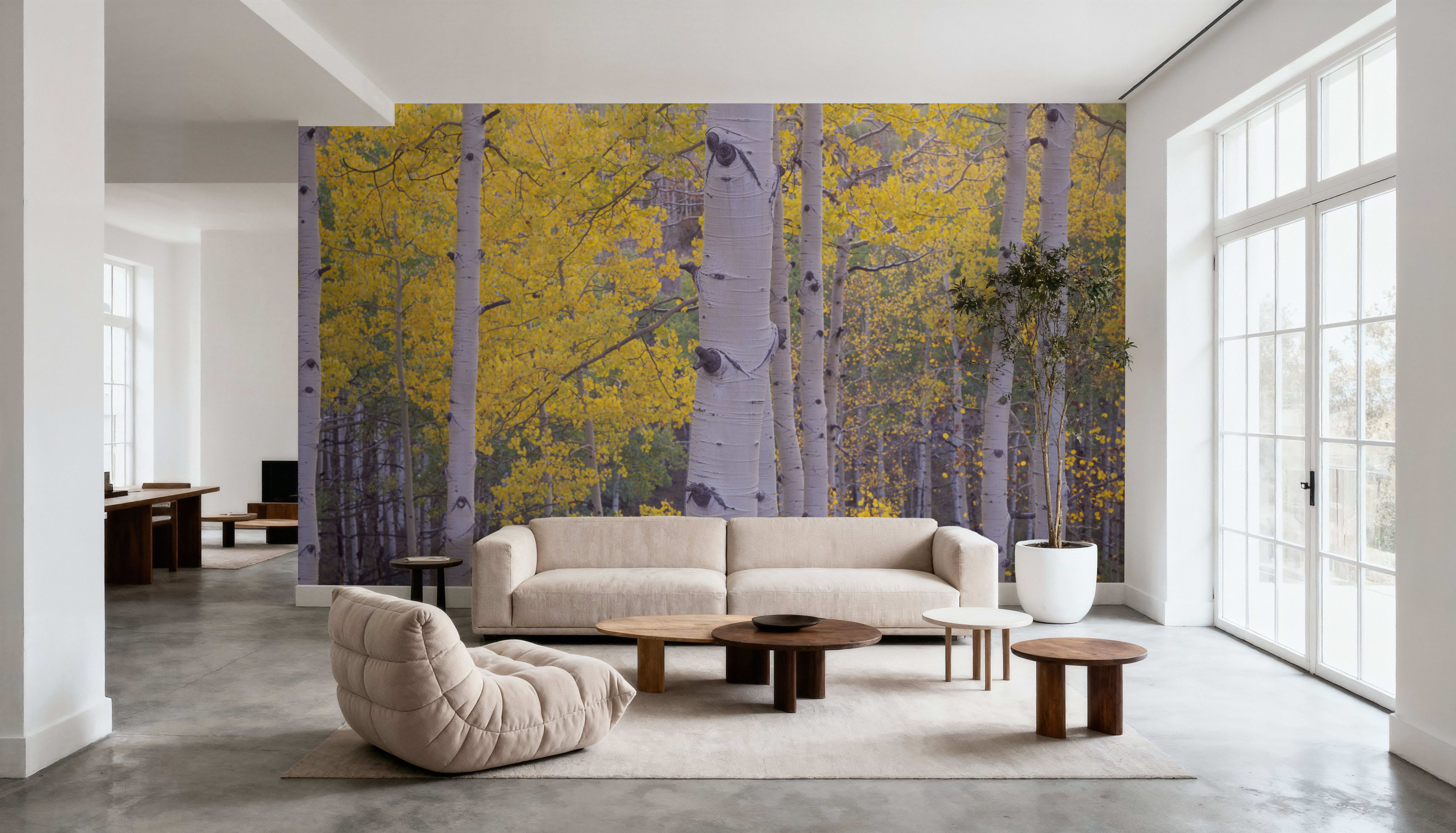 Golden Birch Forest