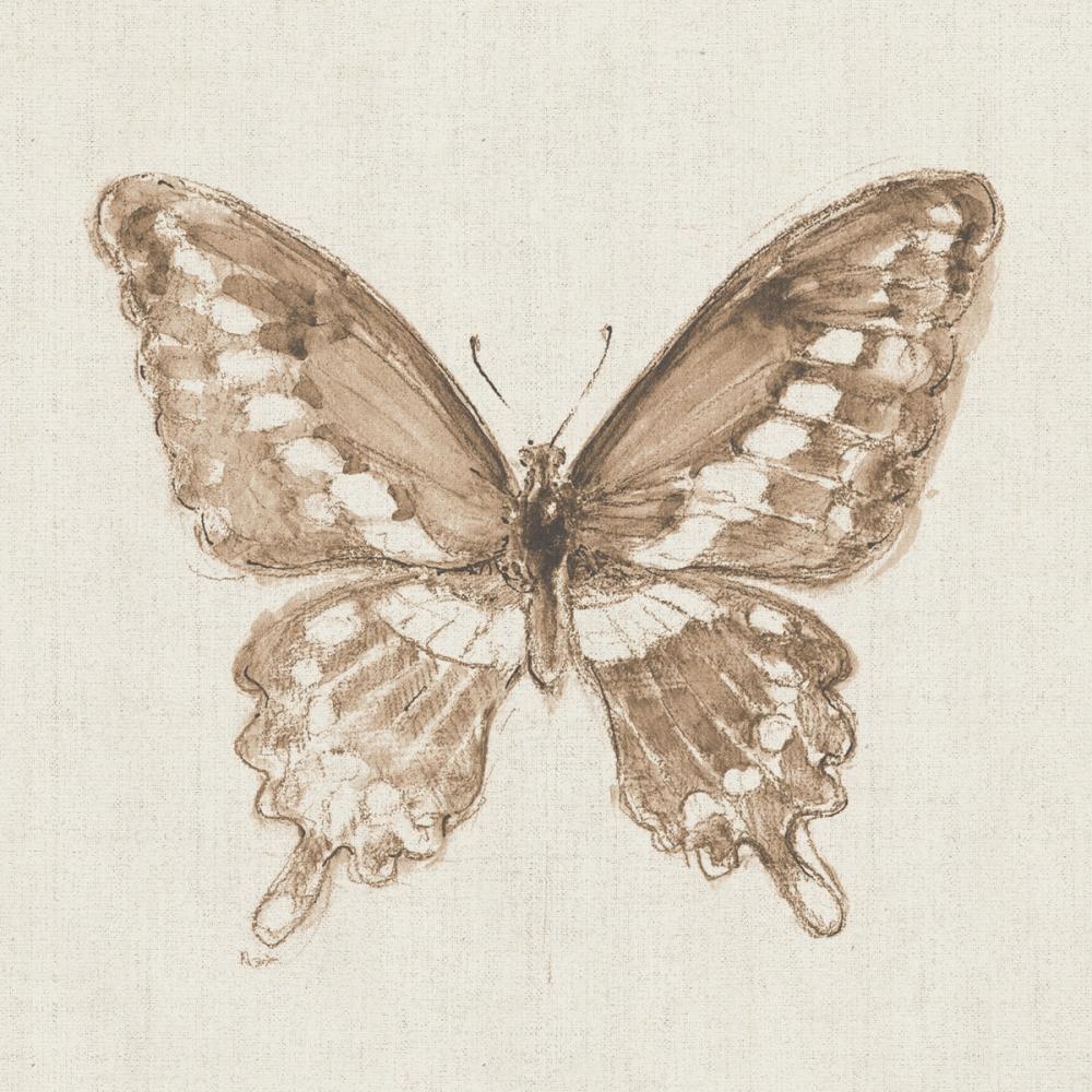 A Blue Note Butterfly II