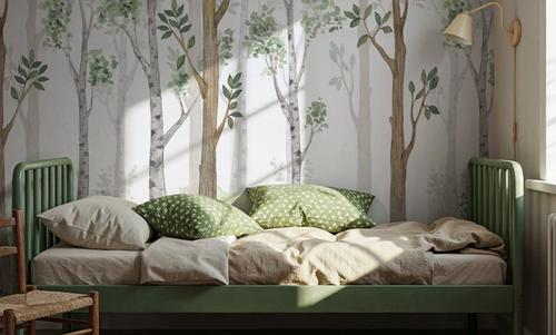 Forest Scenery