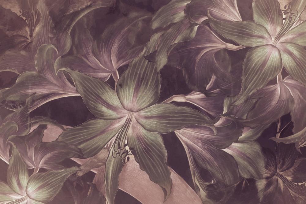 Amarantus Dream Shiny