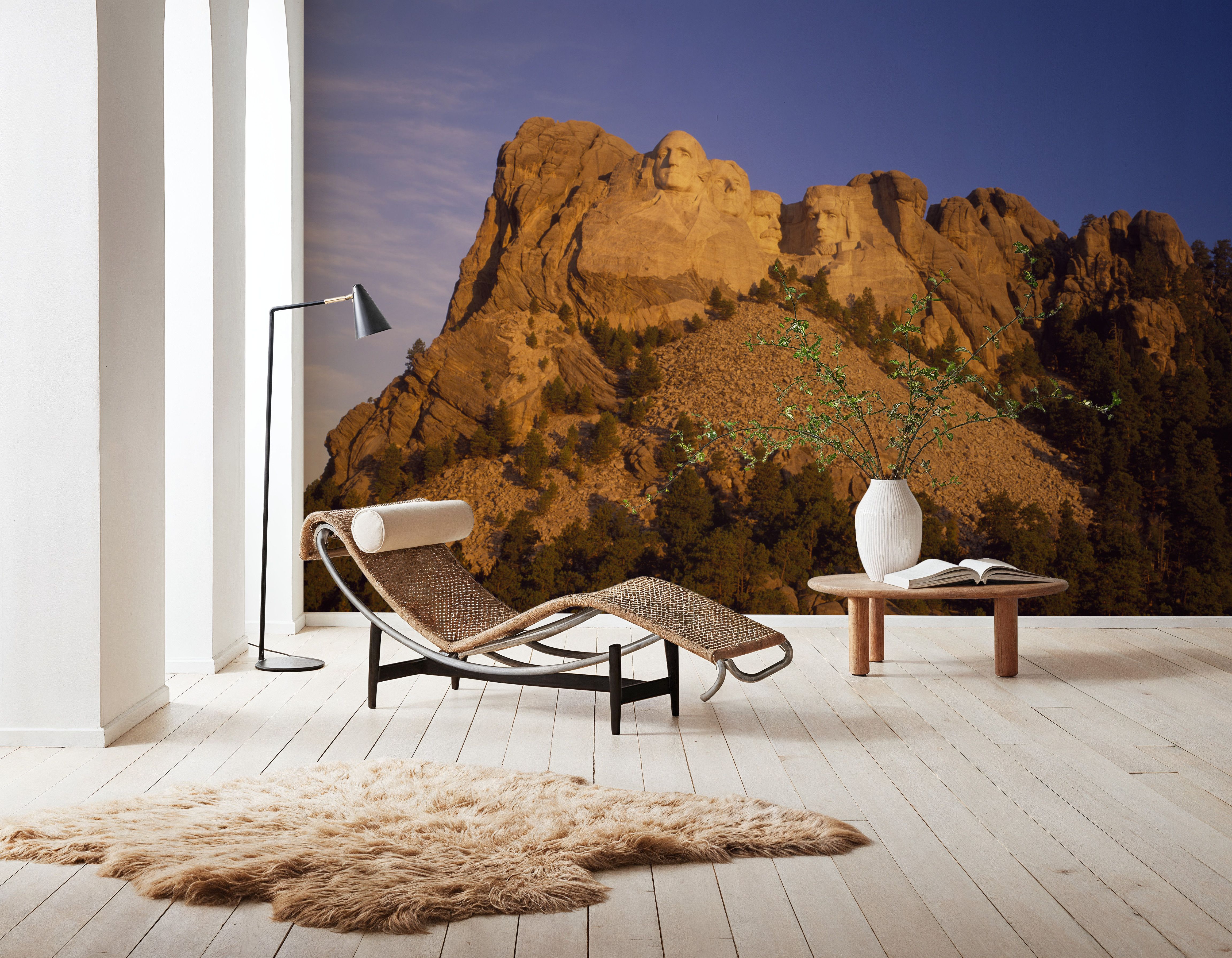 Low Angle Mount Rushmore