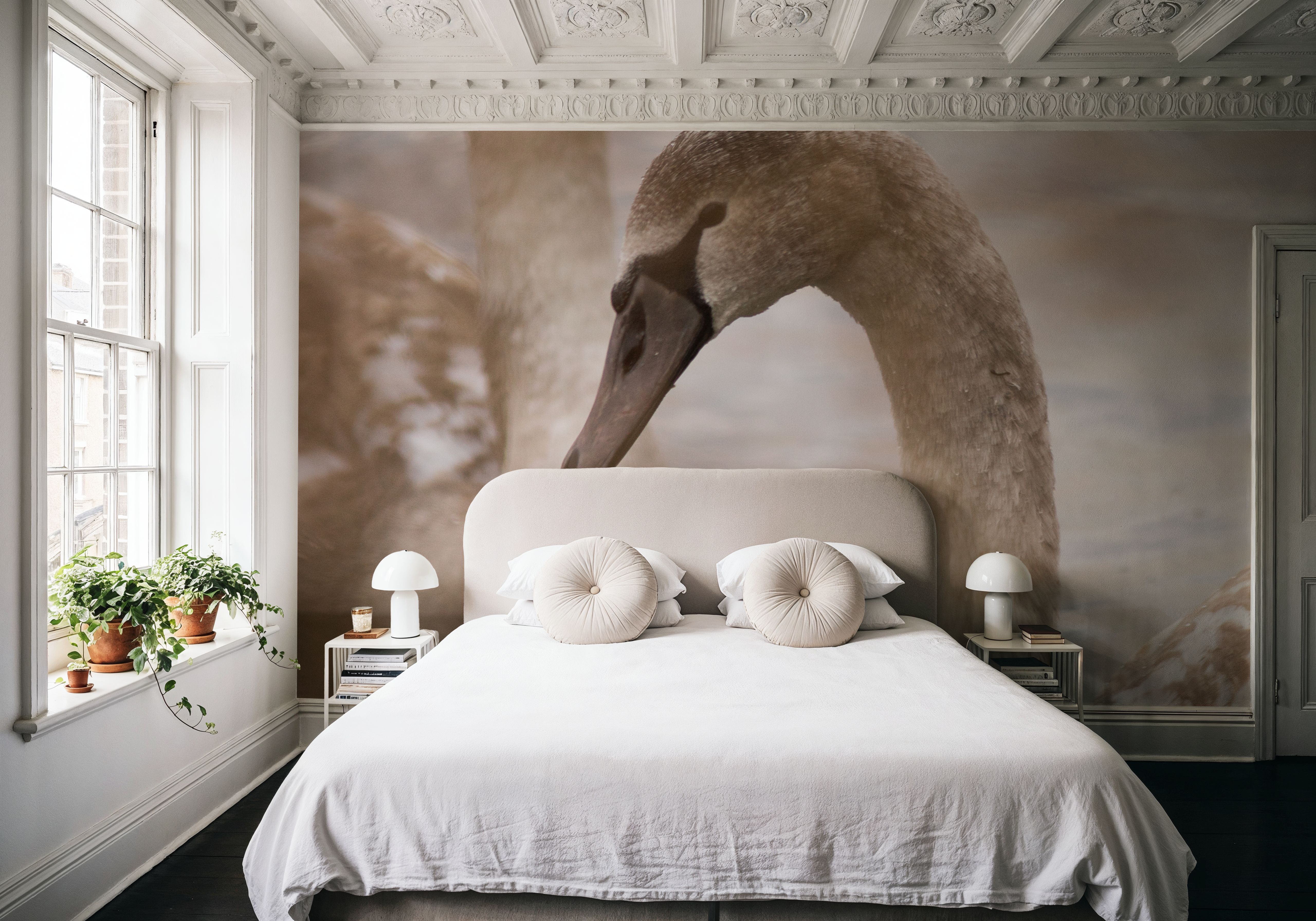 Romantic Swans