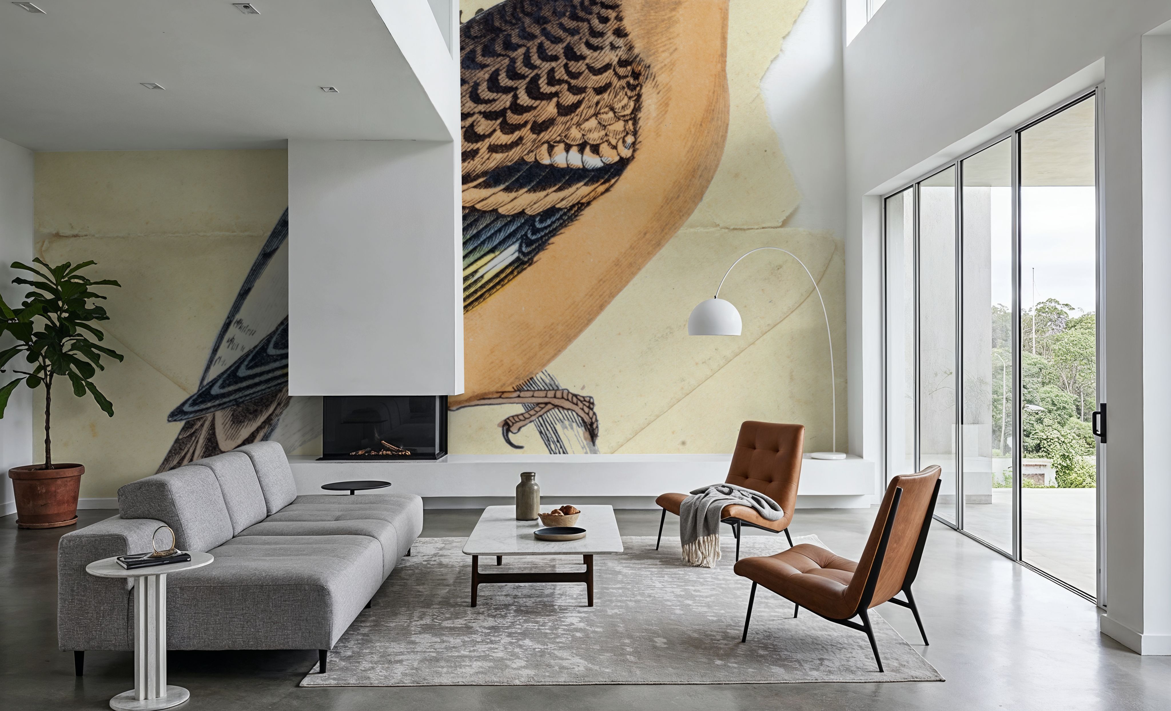 Mountain Finch, Behang