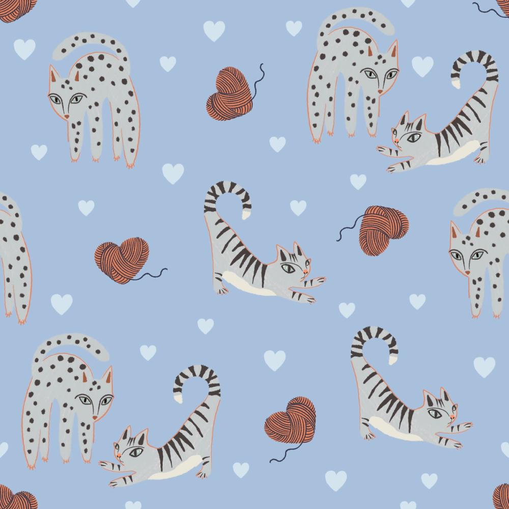 Kitten Love, Baby Blue