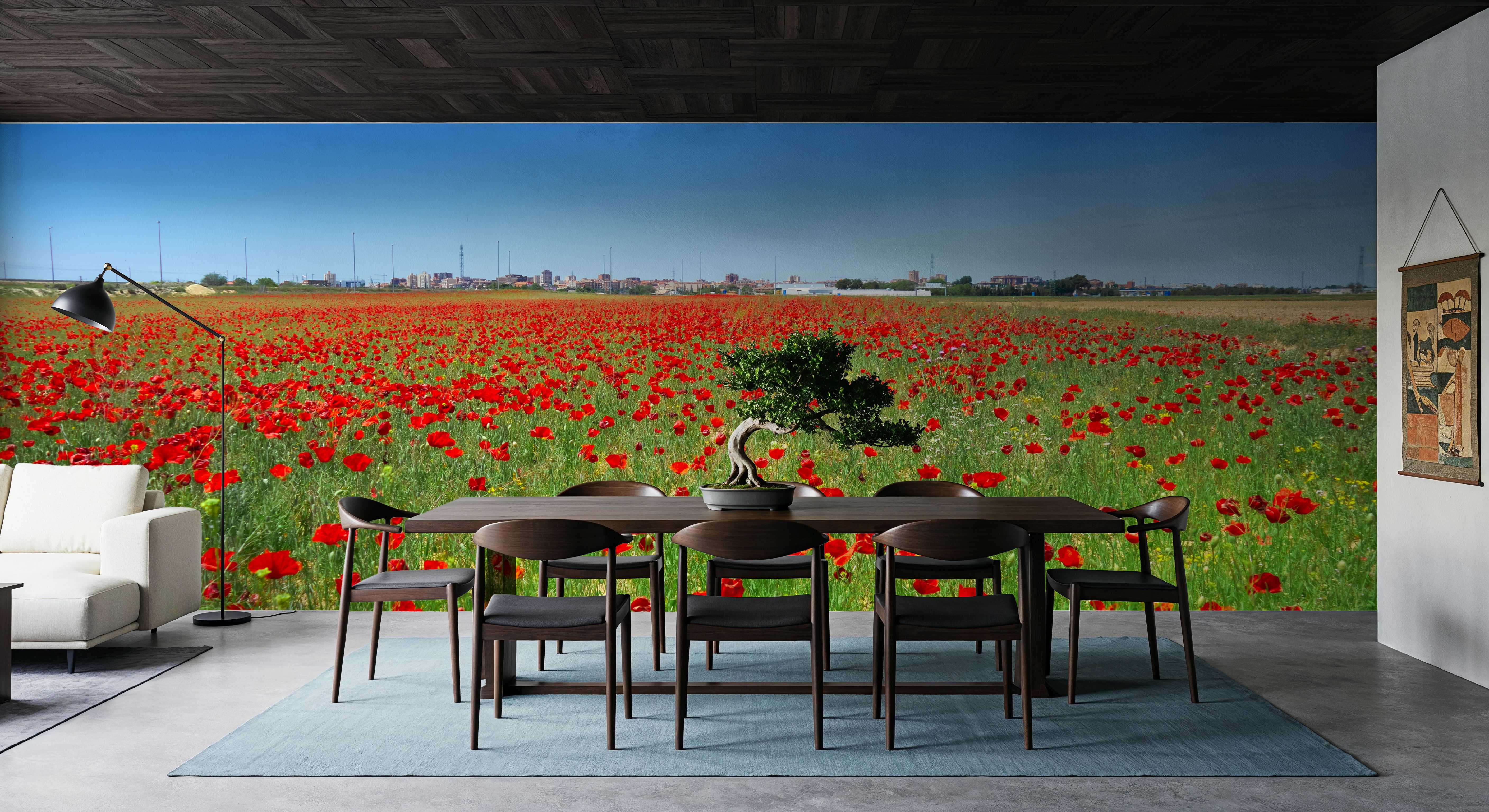 Crimson Poppy Field