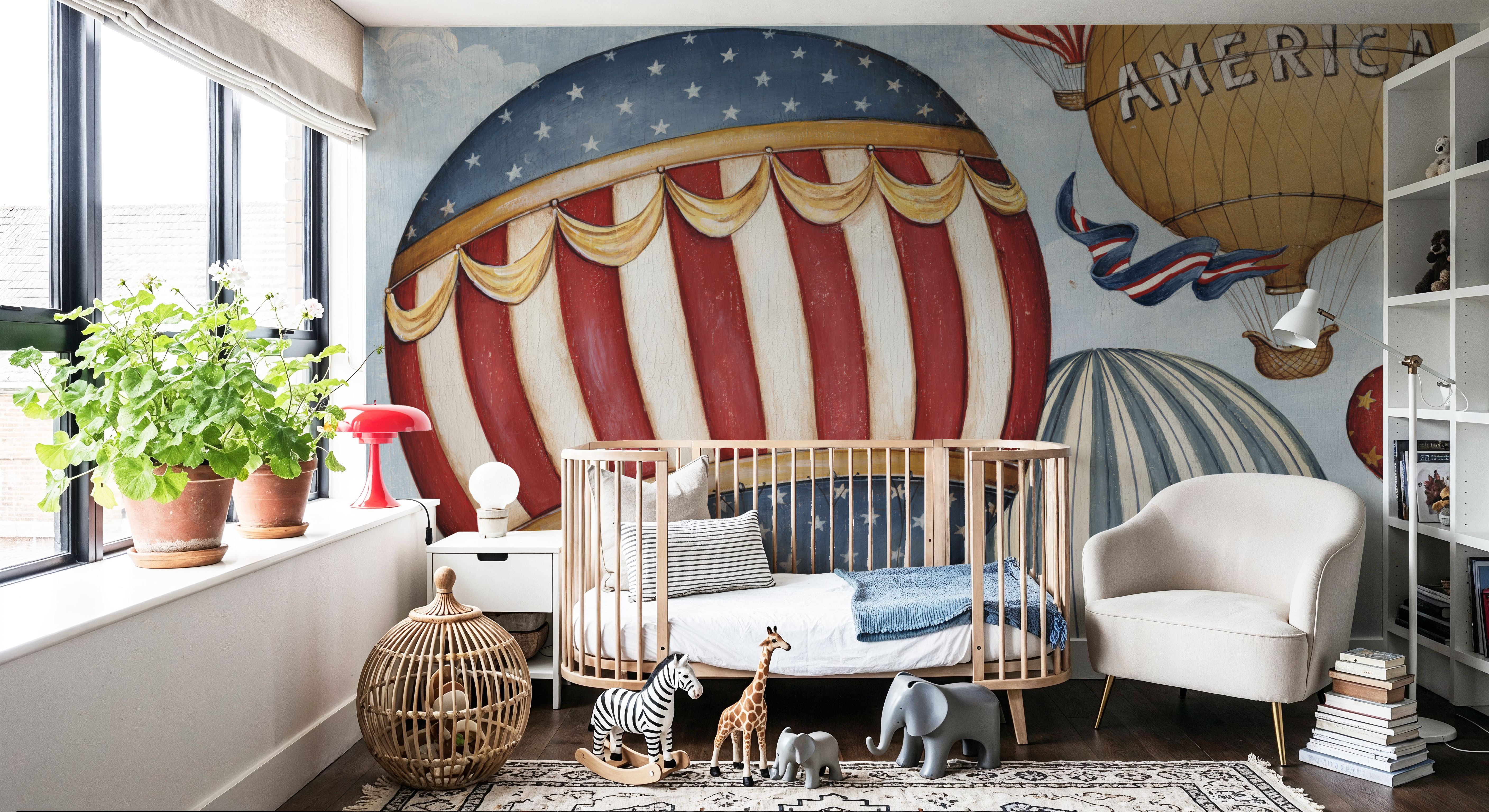 Hot Air Balloons America